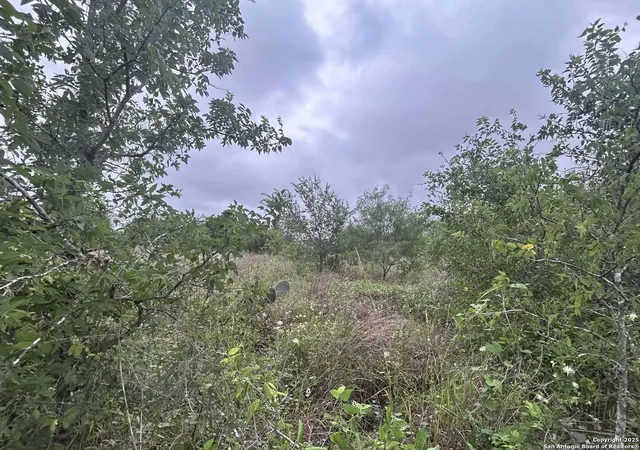 Photo 3 of Sale Pending at 16875 Fm 1937, San Antonio, TX 78221 | MLS# 1881820 | Listing updated on 2025-11-01