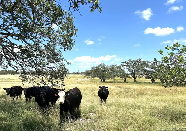 Photo 2 of Single family home for sale at 3240 S Ranch Rd 783, Harper, TX 78631 | MLS# 1882010 | Listing updated on 2025-10-02