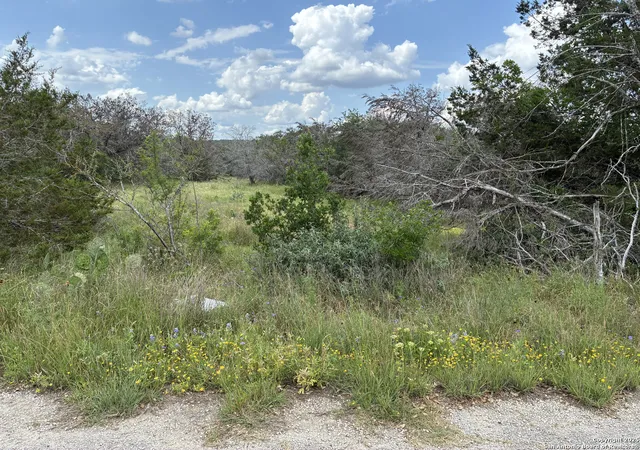 Photo 4 of Land for sale at 203 Bluff View, Spring Branch, TX 78070 | MLS# 1882453 | Listing updated on 2025-09-16