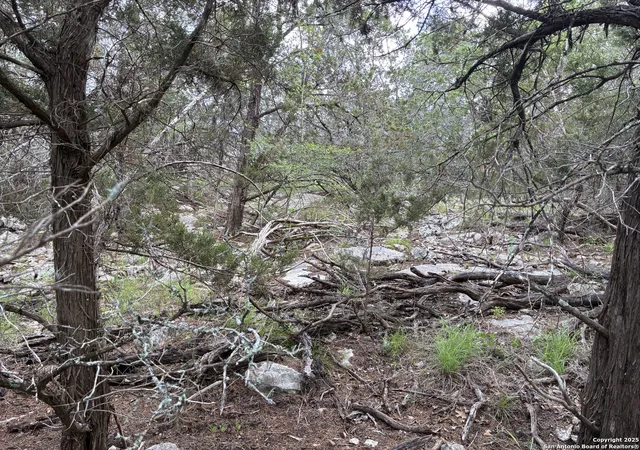 Photo 1 of Land for sale at 203 Bluff View, Spring Branch, TX 78070 | MLS# 1882453 | Listing updated on 2025-09-16