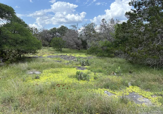 Photo 1 of Land for sale at 203 Bluff View, Spring Branch, TX 78070 | MLS# 1882453 | Listing updated on 2025-09-16