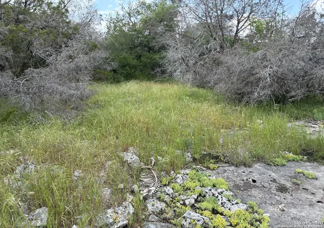 Photo 3 of Land for sale at 187 Bluff View, Spring Branch, TX 78070 | MLS# 1882465 | Listing updated on 2025-09-16