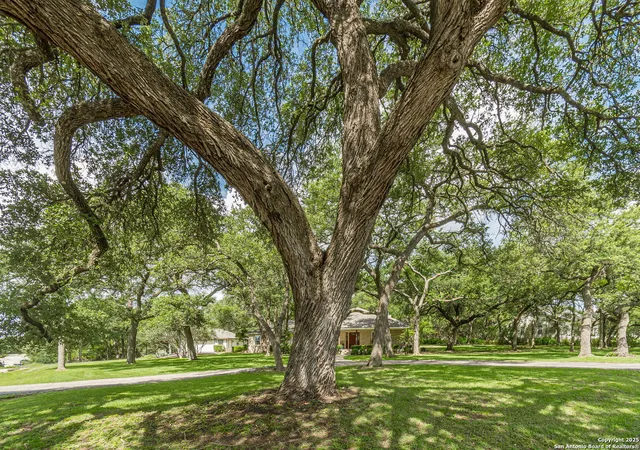 36th image of 4104 Oak, San Marcos, TX 78666 | MLS# 1882755