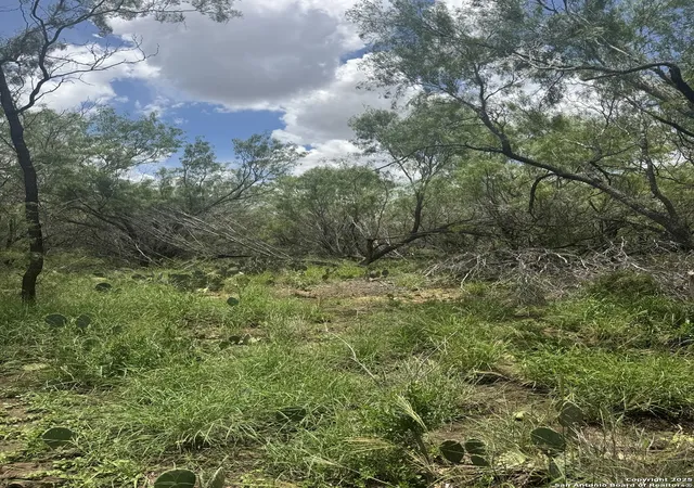 4th image of 10 Windmill Ranchettes Cr 329, Jourdanton, TX 78026 | MLS# 1882810