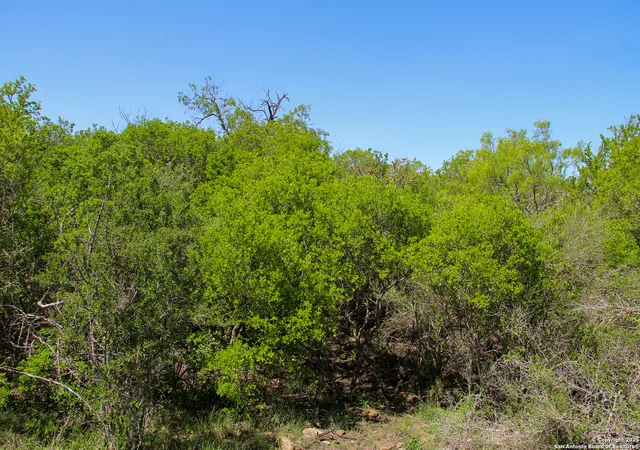 Photo 3 of House for sale at 0000 Fm 1343, Castroville, TX 78009 | MLS# 1882883 | Listing updated on 2026-06-29