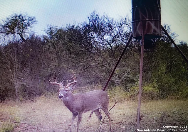 15th image of 0000 Fm 1343, Castroville, TX 78009 | MLS# 1882883