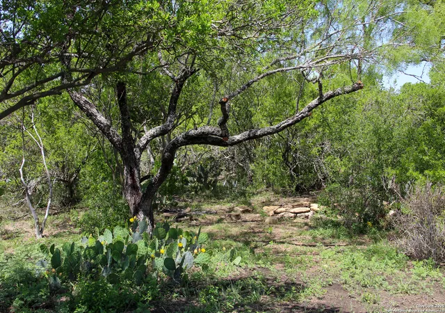 Photo 3 of Land for sale at 0000 Fm 1343, Castroville, TX 78009 | MLS# 1882883 | Listing updated on 2026-06-29