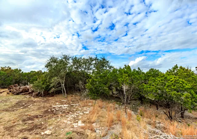 20th image of 211 Bindweed Lane, Spring Branch, TX 78070 | MLS# 1883118