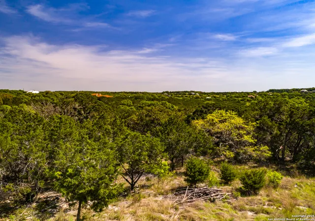 24th image of 205 Bindweed Lane, Spring Branch, TX 78070 | MLS# 1883119