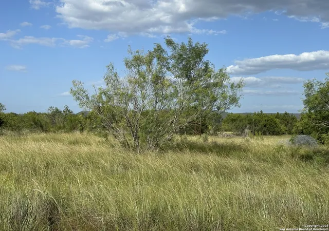 4th image of Tract 59 Fm 470, Tarpley, TX 78883 | MLS# 1883334