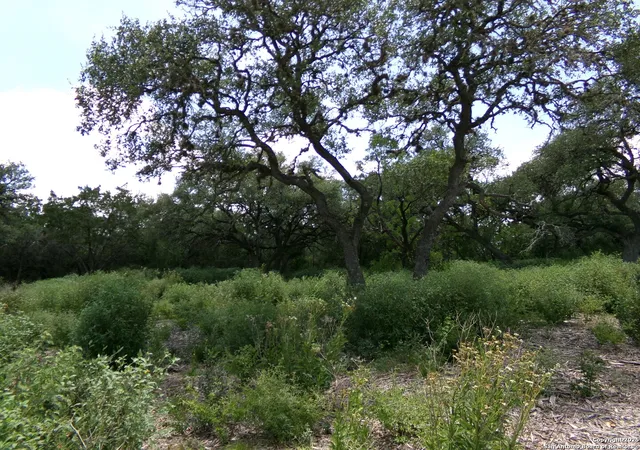 Photo 4 of Land for sale at 1881 Grand Oaks, Hondo, TX 78861 | MLS# 1883693 | Listing updated on 2026-07-10