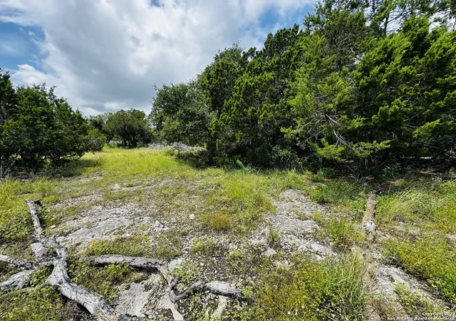 3rd image of 317 Cr Rd 273, Mico, TX 78056 | MLS# 1884411