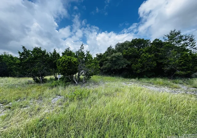 1st image of 317 Cr Rd 273, Mico, TX 78056 | MLS# 1884411