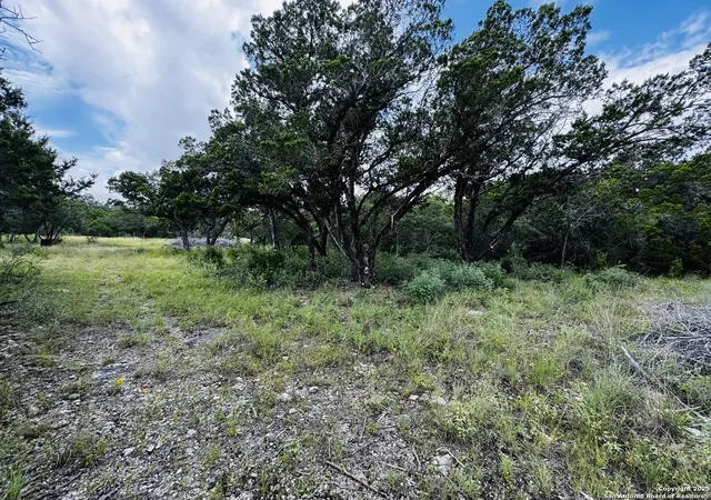 5th image of 317 Cr Rd 273, Mico, TX 78056 | MLS# 1884411