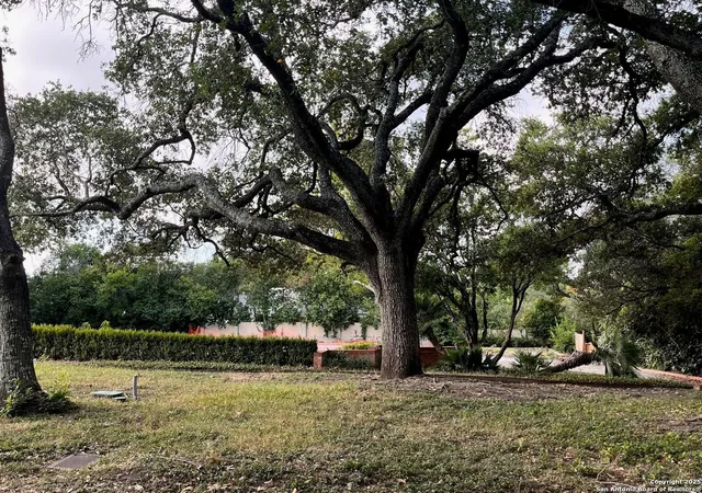 Photo 2 of Land for sale at 430 Morningside Dr, San Antonio, TX 78209 | MLS# 1884853 | Listing updated on 2025-07-28