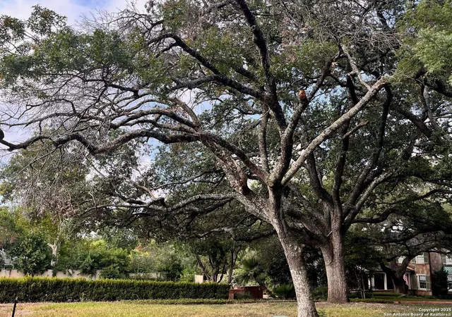 Photo 4 of Land for sale at 430 Morningside Dr, San Antonio, TX 78209 | MLS# 1884853 | Listing updated on 2025-07-28