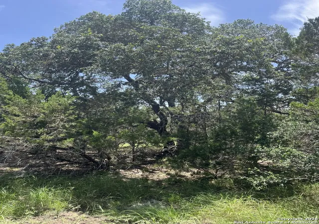 Photo 2 of Land for sale at 559 Rio Ridge, Spring Branch, TX 78070 | MLS# 1885223 | Listing updated on 2026-03-02