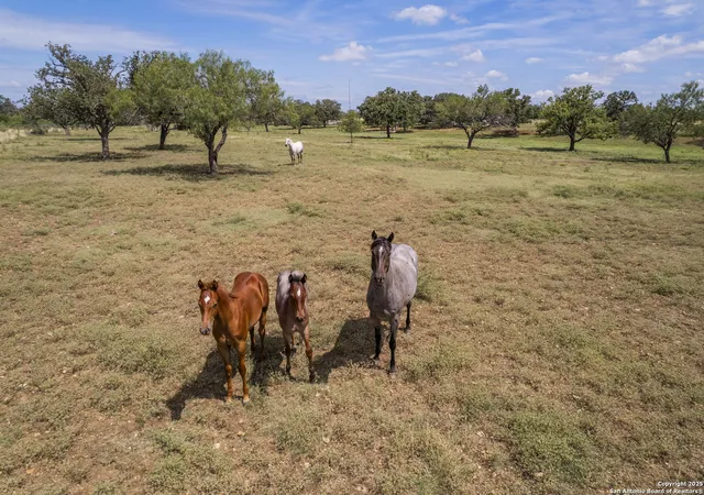 55th image of 1141 Fm 3240, Bandera, TX 78003 | MLS# 1885403