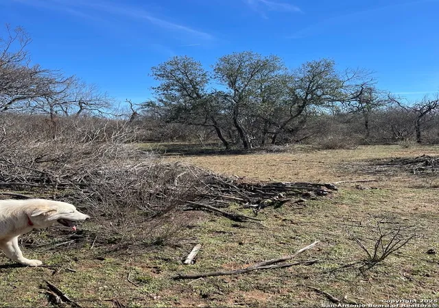 5th image of 00 Fm 2200, Devine, TX 78016 | MLS# 1885763