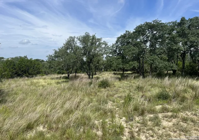 Photo 3 of Land for sale at 137 Hill Myna, Spring Branch, TX 78070 | MLS# 1886044 | Listing updated on 2026-08-18