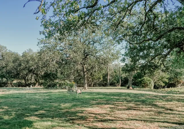Photo 2 of Single family home for sale at 309 E Oak Wood Rd, Kerrville, TX 78028 | MLS# 1886064 | Listing updated on 2025-11-08