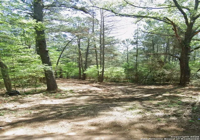 2nd image of 4042 County Road 789, Douglass, TX 75943 | MLS# 1886287