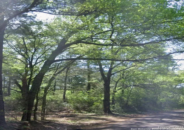 4th image of 4042 County Road 789, Douglass, TX 75943 | MLS# 1886287