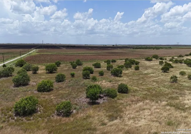 5th image of 000 Cr 515, Beeville, TX 78389 | MLS# 1887742