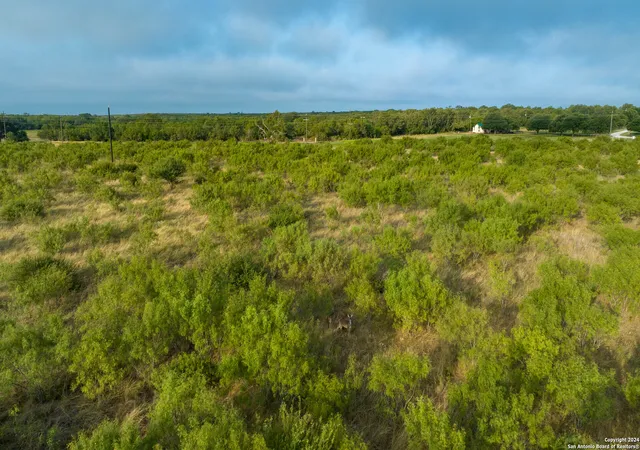3rd image of +/- 246 Acres Hwy 173, Devine, TX 78016 | MLS# 1887795