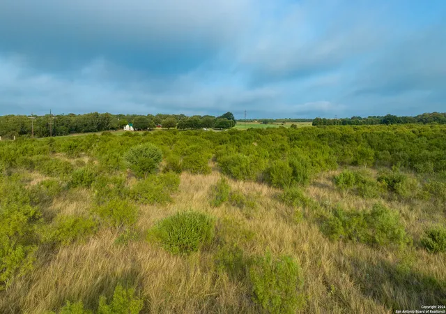 4th image of +/- 246 Acres Hwy 173, Devine, TX 78016 | MLS# 1887795