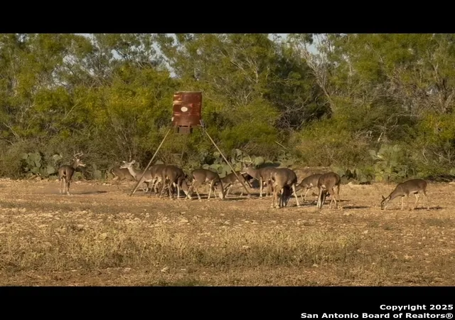 2nd image of 5596 Us Hwy 90, Uvalde, TX 78801 | MLS# 1887892