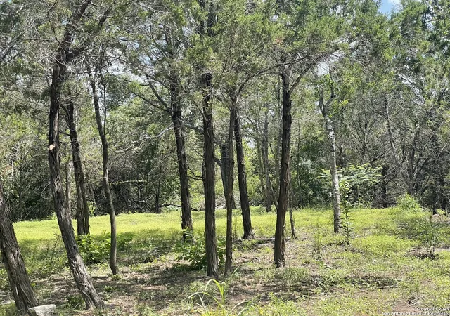 Photo 3 of Land for sale at Lot A Ranch Rd 165, Blanco, TX 78606 | MLS# 1888093 | Listing updated on 2025-12-04