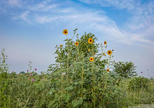 Photo 4 of Land for sale at 000 000, Lampasas, TX 76569 | MLS# 1888408 | Listing updated on 2025-08-10