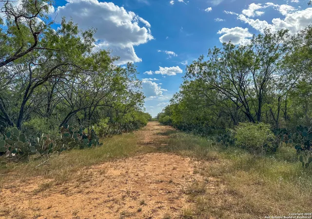 51st image of 6451 Bluntzer Rd, Jourdanton, TX 78026 | MLS# 1888604