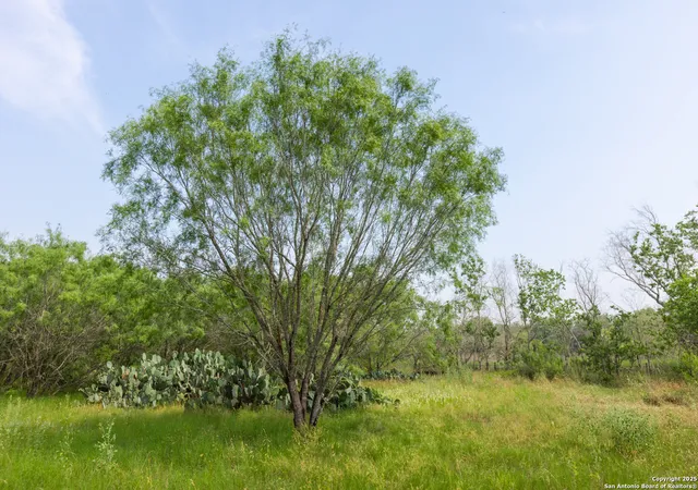 Photo 3 of Land for sale at Tract 1 Shepherd Road, Atascosa, TX 78002 | MLS# 1888862 | Listing updated on 2025-11-20