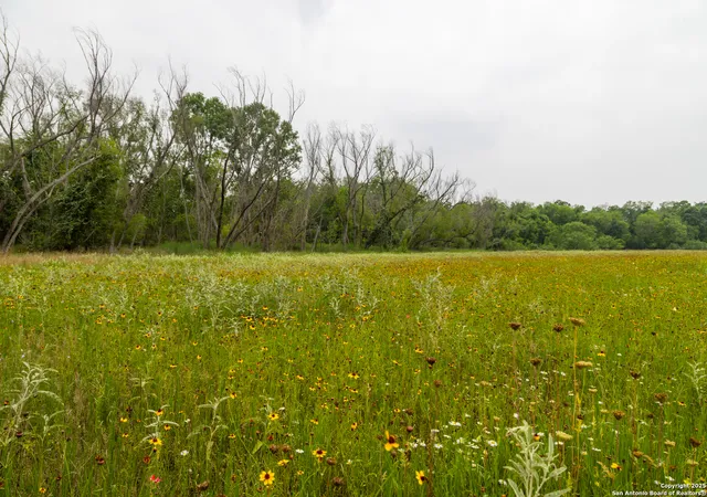 Photo 1 of Land for sale at Tract 1 Shepherd Road, Atascosa, TX 78002 | MLS# 1888862 | Listing updated on 2025-11-20