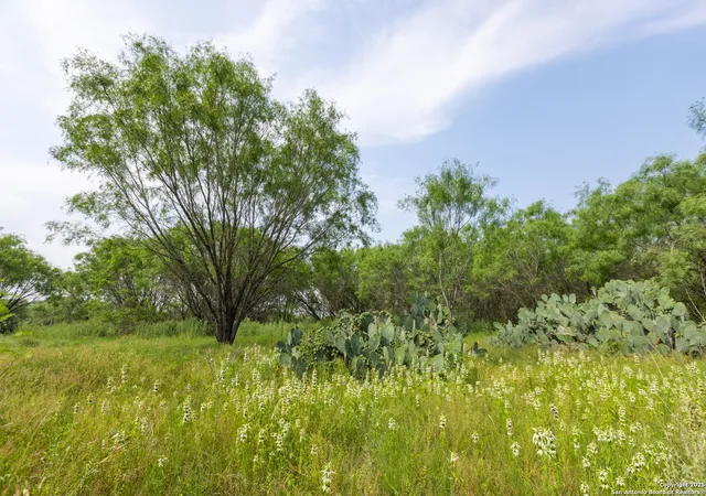 Photo 4 of Land for sale at Tract 1 Shepherd Road, Atascosa, TX 78002 | MLS# 1888862 | Listing updated on 2025-11-20