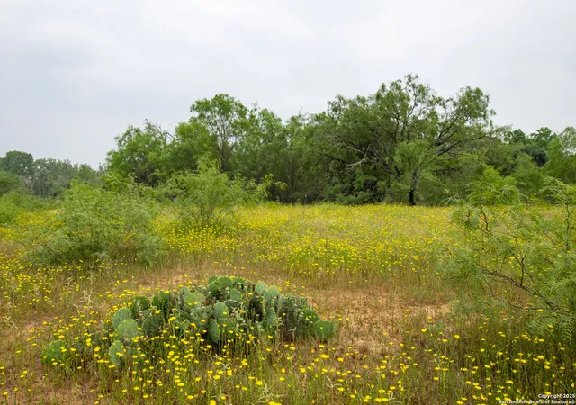 16th image of Tract 2 Shepherd Road, Atascosa, TX 78002 | MLS# 1888991