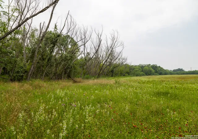 2nd image of Tract 2 Shepherd Road, Atascosa, TX 78002 | MLS# 1888991