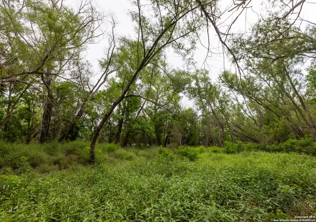 4th image of Tract 2 Shepherd Road, Atascosa, TX 78002 | MLS# 1888991
