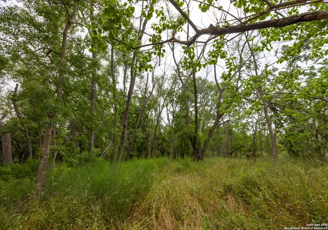 5th image of Tract 2 Shepherd Road, Atascosa, TX 78002 | MLS# 1888991