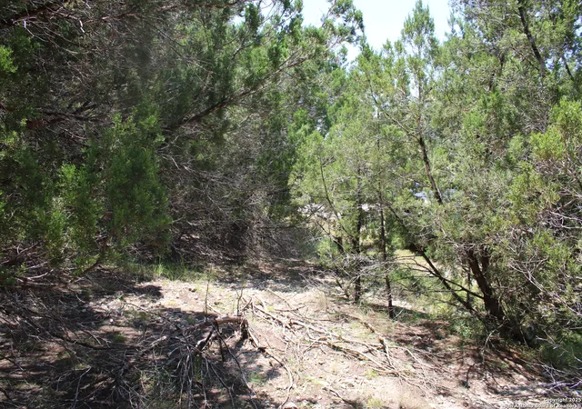 Photo 2 of Land for sale at 1105 Rotherman, Canyon Lake, TX 78133 | MLS# 1889401 | Listing updated on 2026-10-02