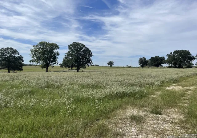 Photo 3 of Land for sale at 4011 County Road 296, Gonzales, TX 78629 | MLS# 1889409 | Listing updated on 2025-08-12