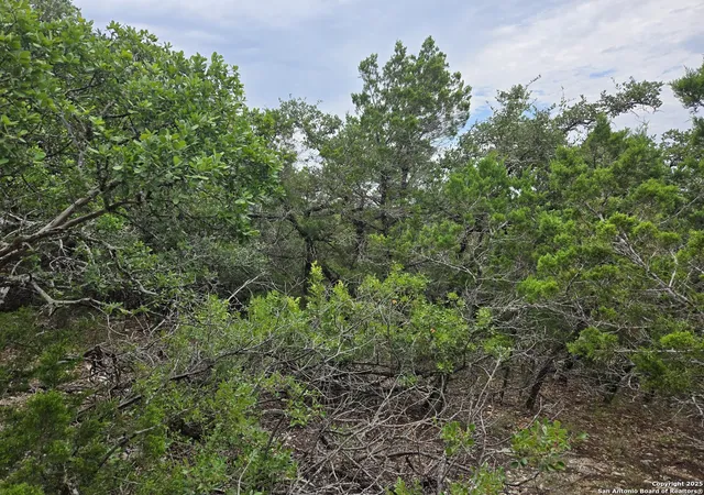 Photo 2 of Land for sale at 00 Beartooth Pass, San Antonio, TX 78255 | MLS# 1889887 | Listing updated on 2025-10-27