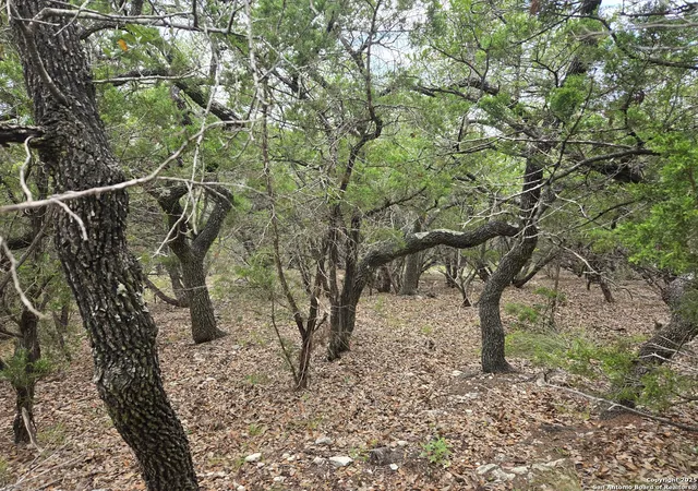 Photo 3 of Land for sale at 00 Beartooth Pass, San Antonio, TX 78255 | MLS# 1889887 | Listing updated on 2025-10-27