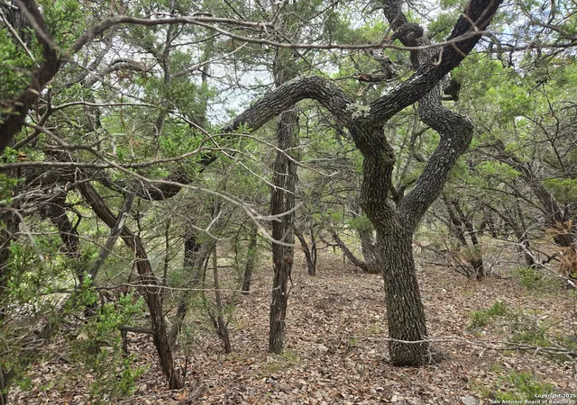 Photo 4 of Land for sale at 00 Beartooth Pass, San Antonio, TX 78255 | MLS# 1889887 | Listing updated on 2025-10-27