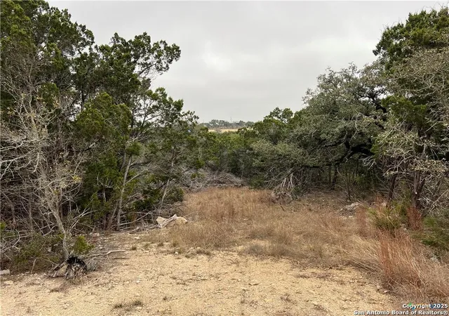 Photo 1 of Land for sale at 713 Stagecoach, Spring Branch, TX 78070 | MLS# 1890024 | Listing updated on 2026-01-30