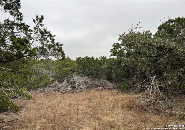 Photo 1 of Land for sale at 713 Stagecoach, Spring Branch, TX 78070 | MLS# 1890024 | Listing updated on 2026-01-30