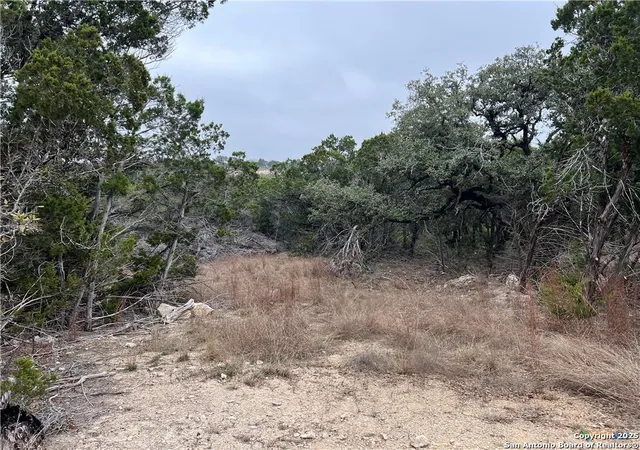 Photo 3 of Land for sale at 713 Stagecoach, Spring Branch, TX 78070 | MLS# 1890024 | Listing updated on 2026-01-30