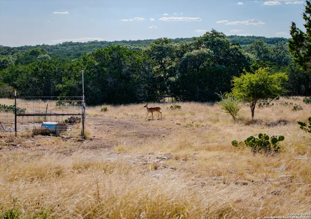 2nd image of 510 Pr 2535, Mico, TX 78056 | MLS# 1891248